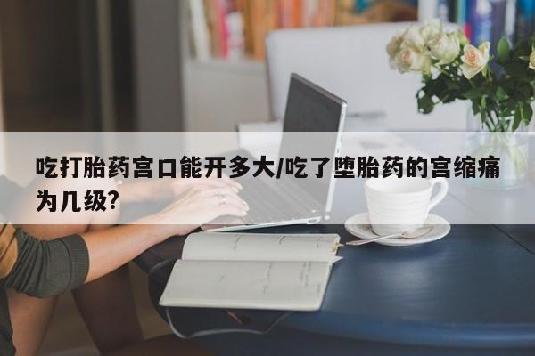 流产药购买微信吃打胎药宫口能开多大/吃了堕胎药的宫缩痛为几级?