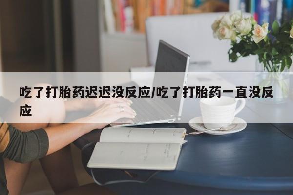 流产药购买微信吃了打胎药迟迟没反应/吃了打胎药一直没反应