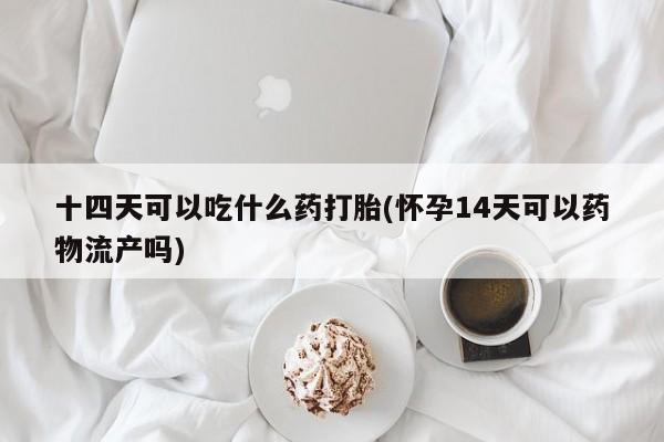 流产药购买微信十四天可以吃什么药打胎(怀孕14天可以药物流产吗)